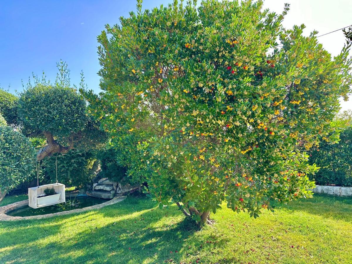 Trullo Il Carrubo Villa Alberobello Eksteriør bilde